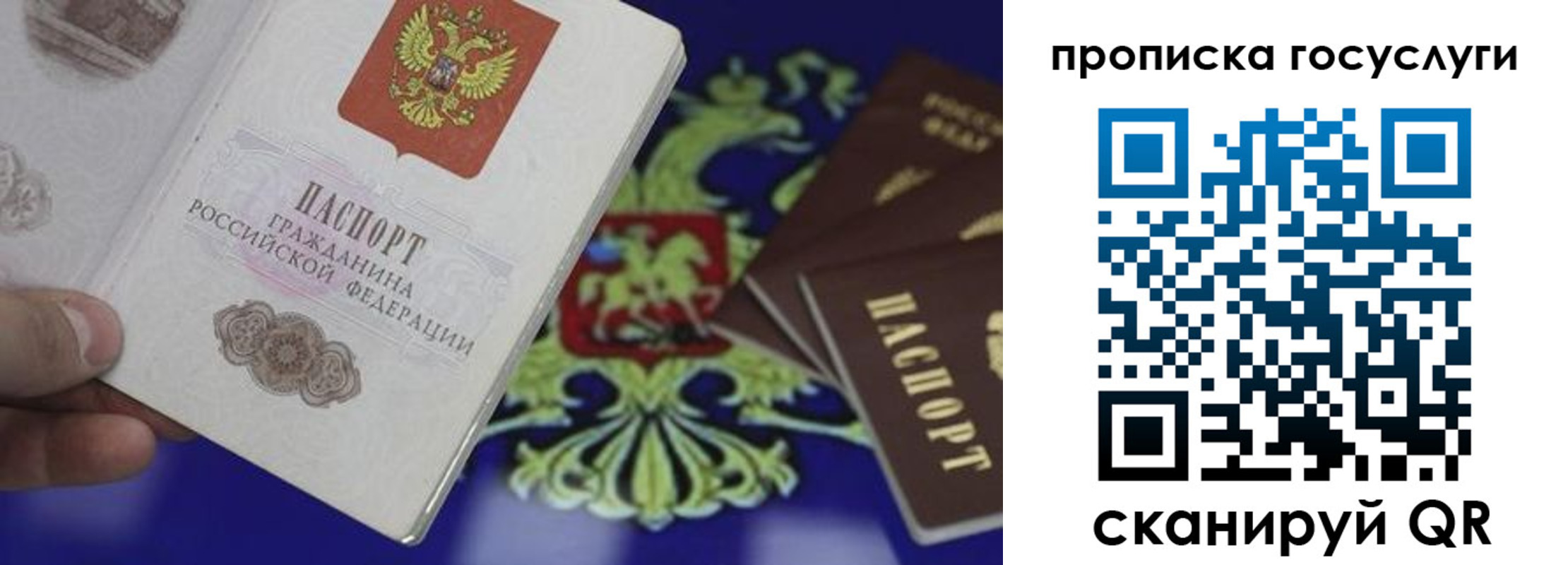 прописка для школы в Гатчине